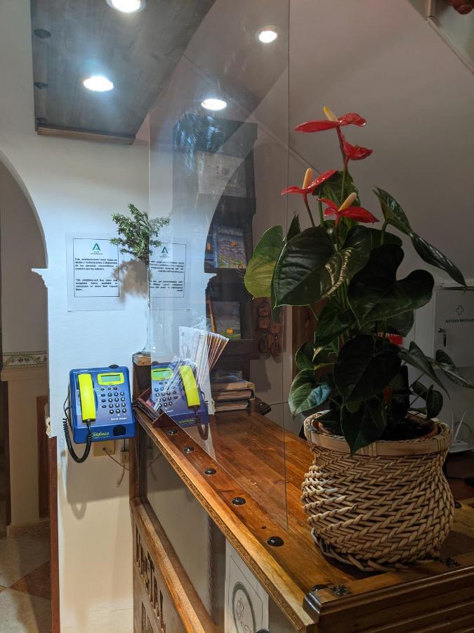 Hostal Moraima Capileira Eksteriør billede